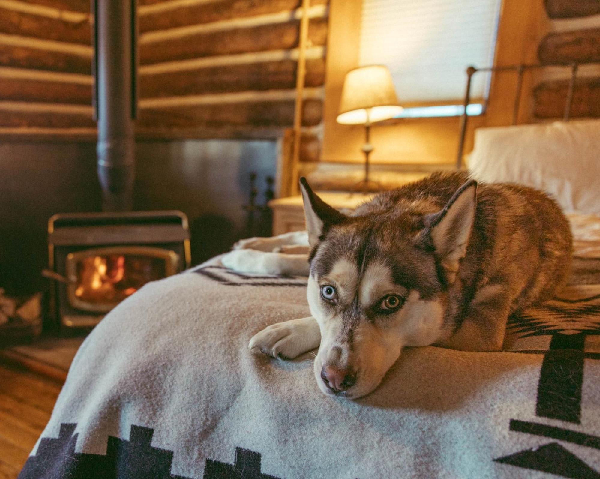 Вилла Beyul Retreat Meredith Экстерьер фото